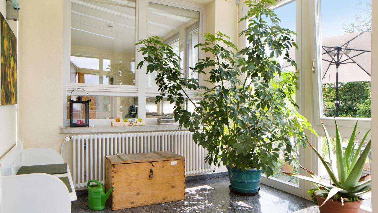 Zum Goldenen Kopf Apartment Elzach